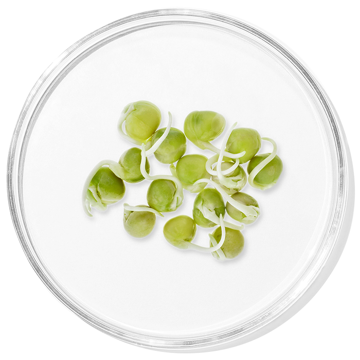 5 Hoạt Chất Thiên Nhiên Kết Hợp Công Nghệ – Giải Pháp Trị Rụng Tóc An Toàn & Hiệu Quả Với Prexpy®