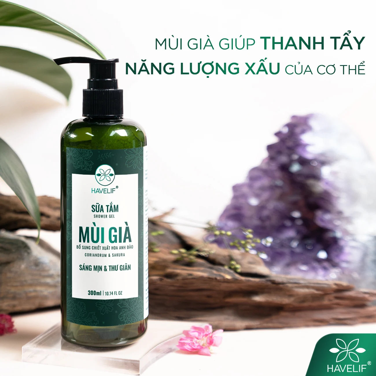 Sữa tắm Mùi Già 300ml