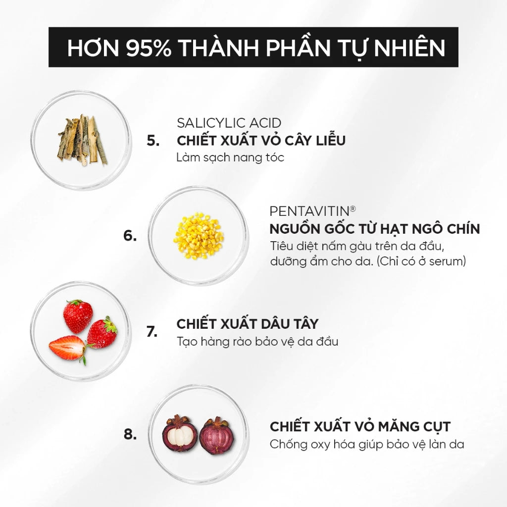 Dầu gội sạch gàu 50ml